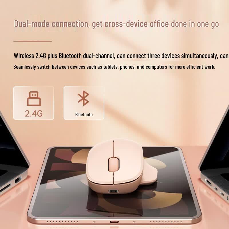 HP Professor SEC Dual Mode Wireless Ergonomic Mouse