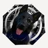 1pc Dog Collar Automatic Opening/Closing Folding Umbrella with 8 Ribs,Windproof Portable Sunshade Umbrella Holiday gift yy260401050