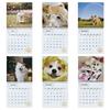Niedlicher Hunde-Wandkalender 2026 mit Spiralbindung, 12 Monate zum Abreißen, Haustierkalender mit Feiertagsmarkierungen zur Heimdekoration