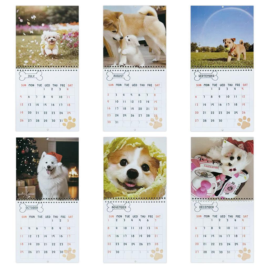 Niedlicher Hunde-Wandkalender 2026 mit Spiralbindung, 12 Monate zum Abreißen, Haustierkalender mit Feiertagsmarkierungen zur Heimdekoration
