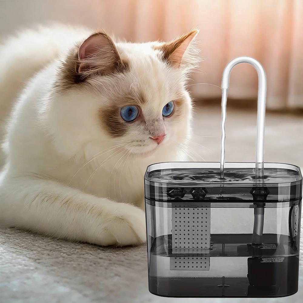 1,5L Haustier-Wasserbrunnen für Katzen Hunde Transparent Schwarz Anti-Trockenlauf Elektrisch Zirkulierender Wasserspender mit Filter