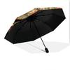 Branch Bird  Pattern, Automatic Folding Umbrella, Portable and Foldable Design, 8 Ribs, a Christmas or Birthday Gift.