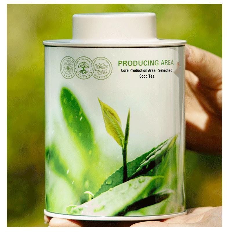 Fresh Green Tea Gift Box: Longjing, Biluochun, Gyokuro Varieties with Towel