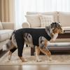Adjustable Dog Leg Rehabilitation Suit Anti-Licking Comfortable Fit Dog Knee Brace Breathable Pet Recovery Suit Elbow Protection