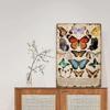 "SUPERDANT Vintage Butterfly Tin Sign" – Retro Metal Wall Art Plaque for Homes, Cafés Coffee Bars; Ideal Gift