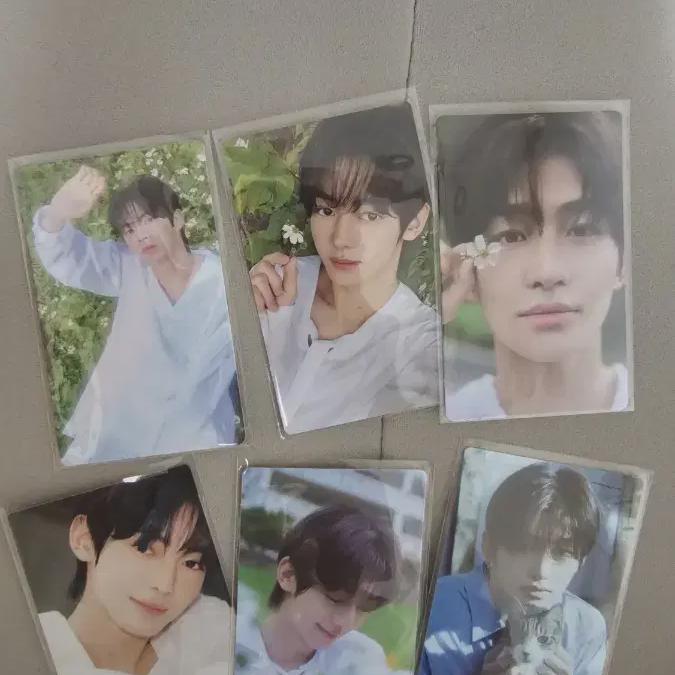 

Туры Фотокарточка Хадзимэ Сити