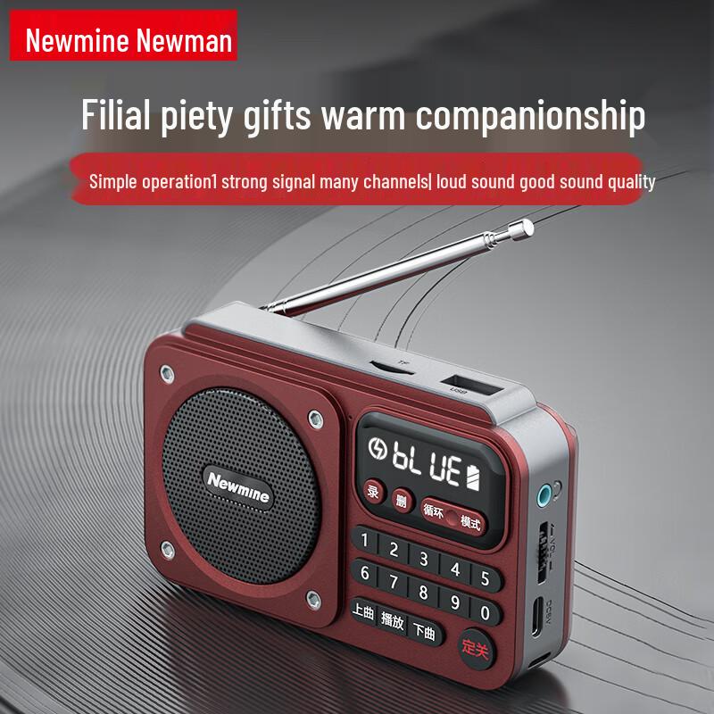 Newman Portable Multi-Function Radio Player
