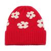 2025 winter new wool hats for men and women, cold-proof and warm cold hats, piled thickened pullover hats, flower knitted hats for women