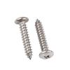Stainless Steel Fishtail Screw