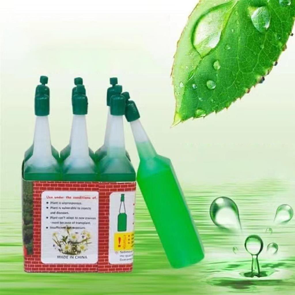 Universelle Pflanzennährlösung Flüssigdünger für Topfpflanzen Glücksbambus Geldbaum Hydrokultur Grünpflanzen