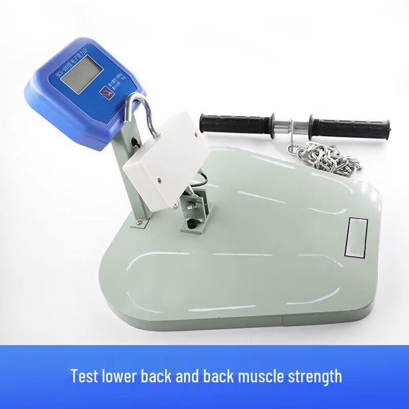 Ruilv Digital Back Strength Tester