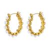 Elegant Pearl Zircon Earrings: Chic & High-End Stainless Steel Design for Women