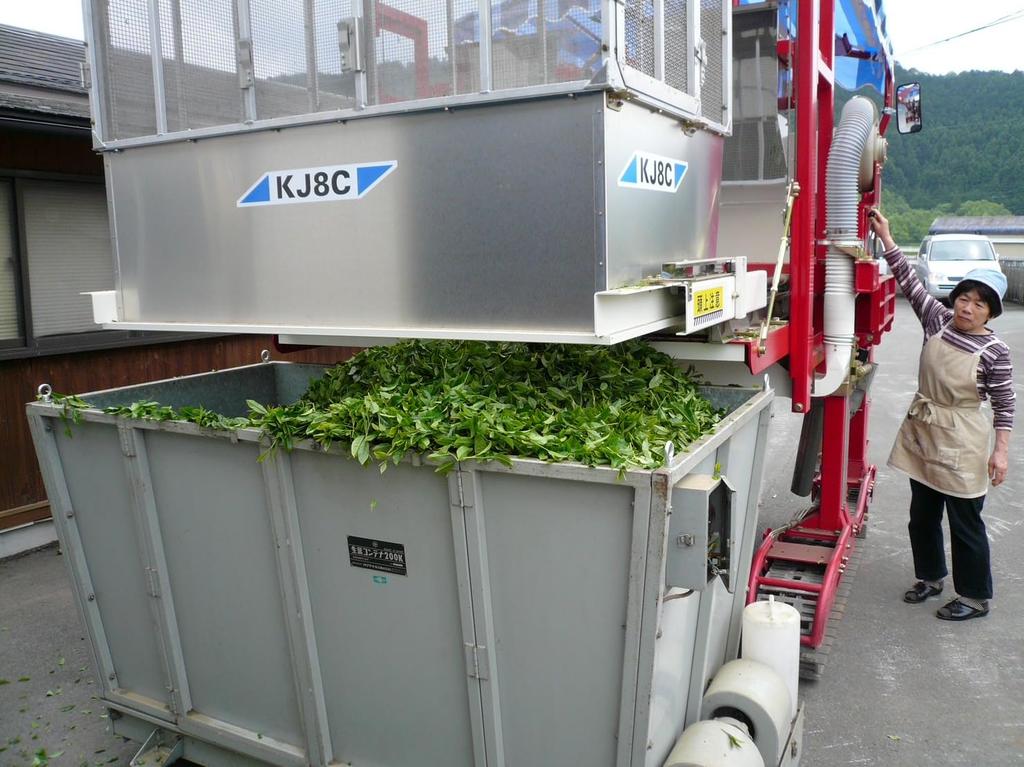 [Ise Tea] Kita Seicha Green Tea, Japan's No. 3 Producer, Asagiri-cha, 100g, Green, Ise, WinterAutumn, Delicious, Tea, Teapot, Japanese Tea, Sencha,