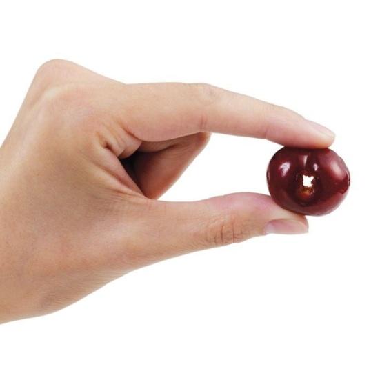 Handheld Cherry Core Garden Pitter Fruits Olive Corer Stone Remover Kitchen Tool