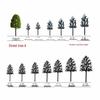 Type A Street Tree Model for Indoor/Outdoor Landscapes
