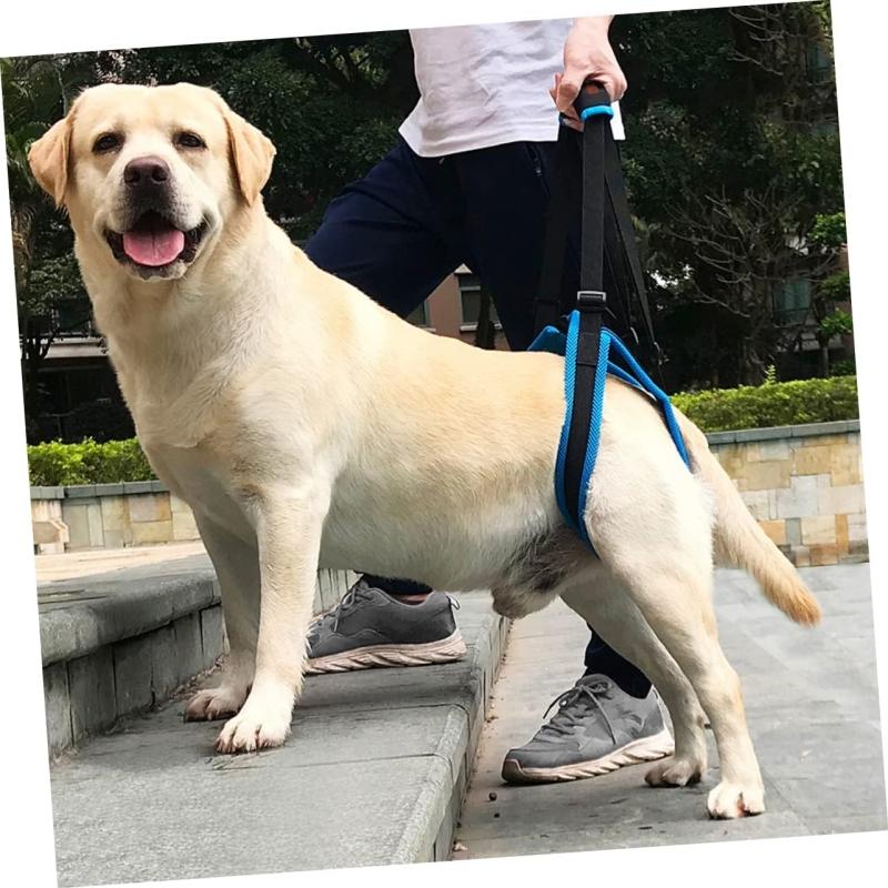Adjustable Dog Lift Harness Pet Support Sling Pet Dogs Aid Assist Tool for Old Dogs for Back Legs Help Weak Legs Stand Up