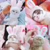 Cute Rabbit Ears Dog Hat Teddy Bichon Costume Transform Pet Cat Headwear Fashionable Net Celebrity Accessories