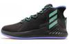 D Rose 9 BB8018