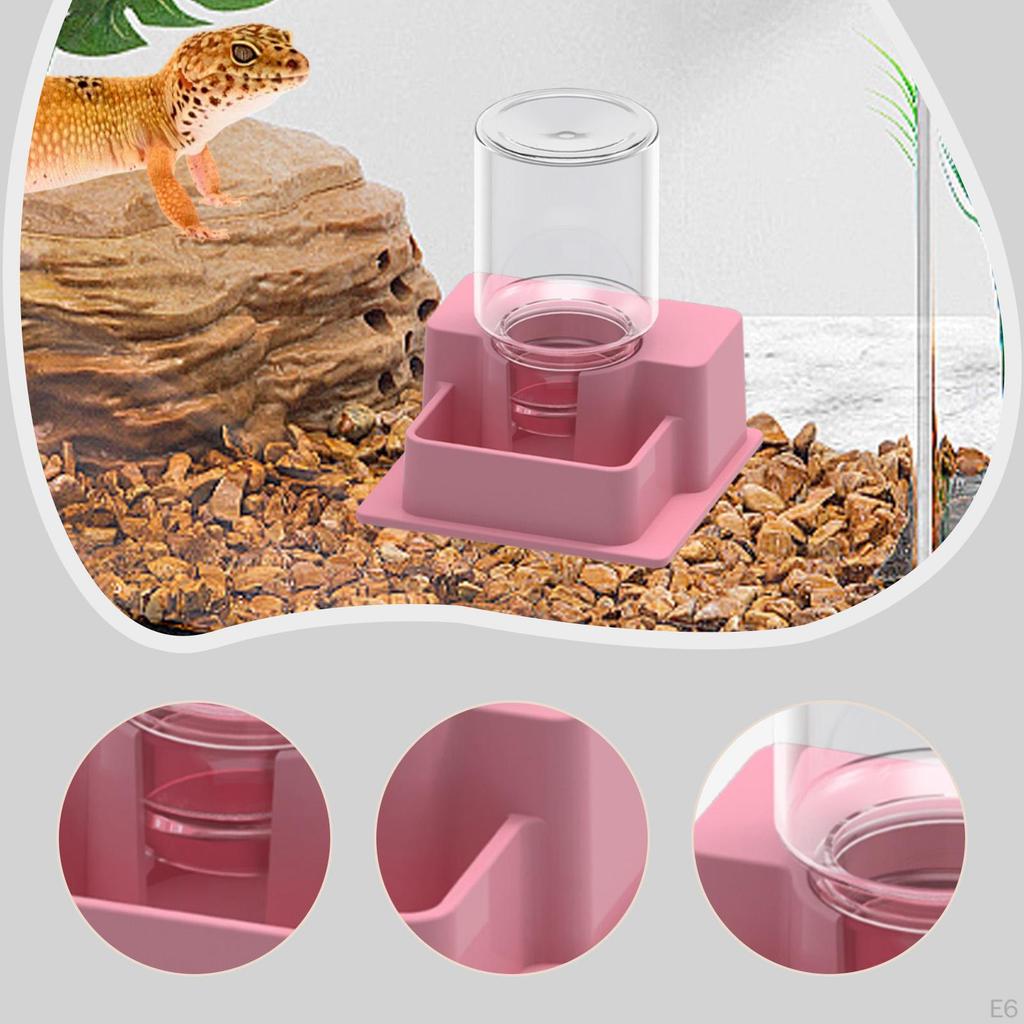 Reptile Feeder Automatic Water Dispenser Tank and Aquarium Accessories for
