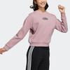 Adidas Neo Sesame Street Co-Branded Series Cartoon Print Crew Neck Sweatshirt Women Tops Purple Pink HD7284