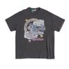 My Little Pony Unisex Adult Princess Sparkle Vintage Wash T-Shirt