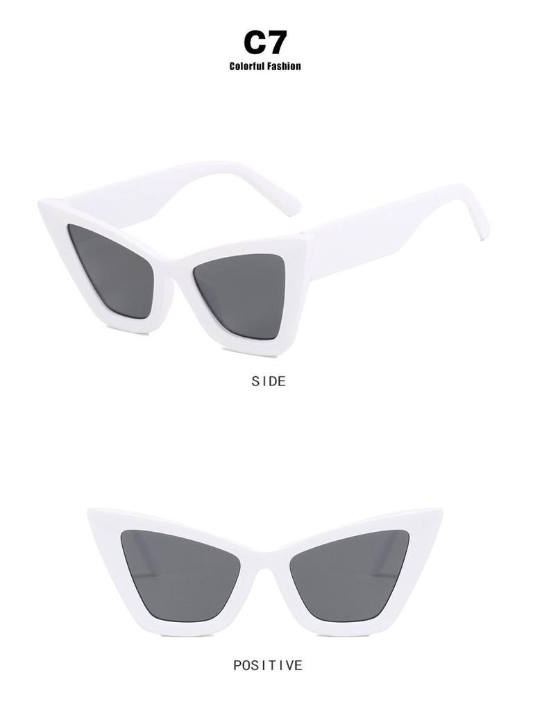 Large Cat Eye Sunglasses - 2023 Women's Fashion Runway Style