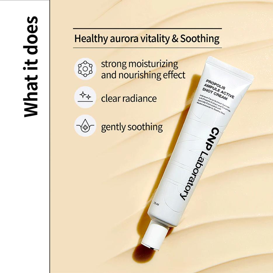 CNP Laboratory Propolis Ampule Active Shot Cream 75ml, Anti-Aging, Moisturizing, Korean Cosmetics, Kbeauty