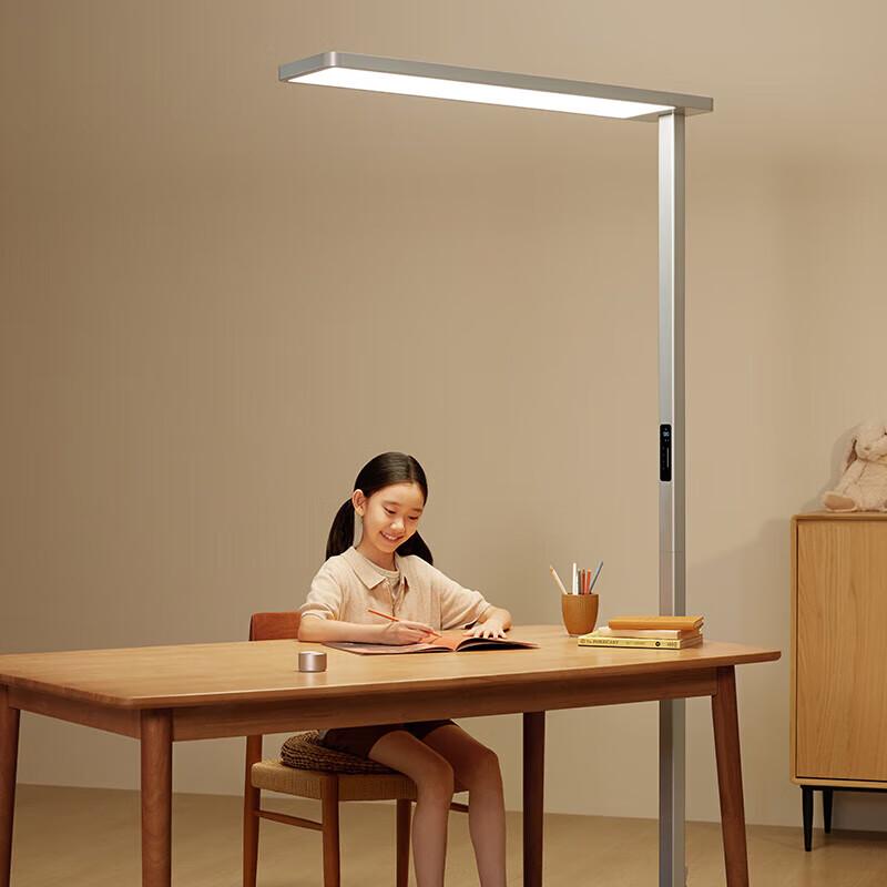 Xiaomi Standing Learning Lamp Pro