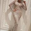 Women's Round Neck Long Sleeve Mermaid Dress Slim Fit Mid Rise Elegant Rhinestone Mesh Maxi Evening Gown