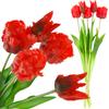 Bouquet of Parrot Tulips Rubberized Artificial Flowers Like Real 5pcs Premium
