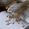 Wabi-sabi Dried Flower Arrangement: Reed, Pine Cones, Cotton, Wheat, Poppy Bouquet