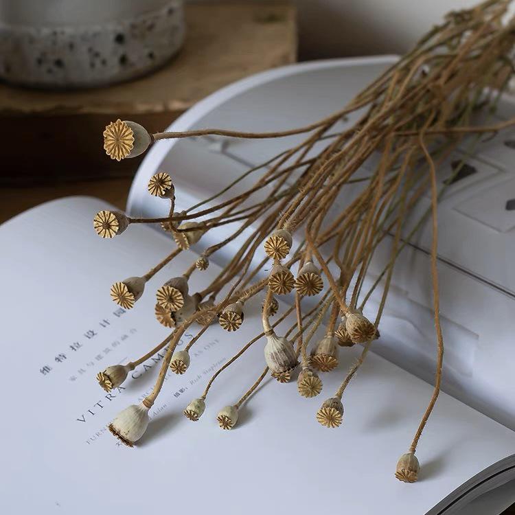 Wabi-sabi Dried Flower Arrangement: Reed, Pine Cones, Cotton, Wheat, Poppy Bouquet
