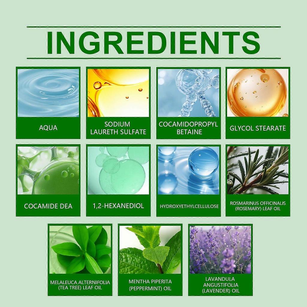 Hoegoa Tea Tree Essence Shampoo - Gentle Cleansing, Volumizing, Smooth And Shiny, Scalp Care Shampoo