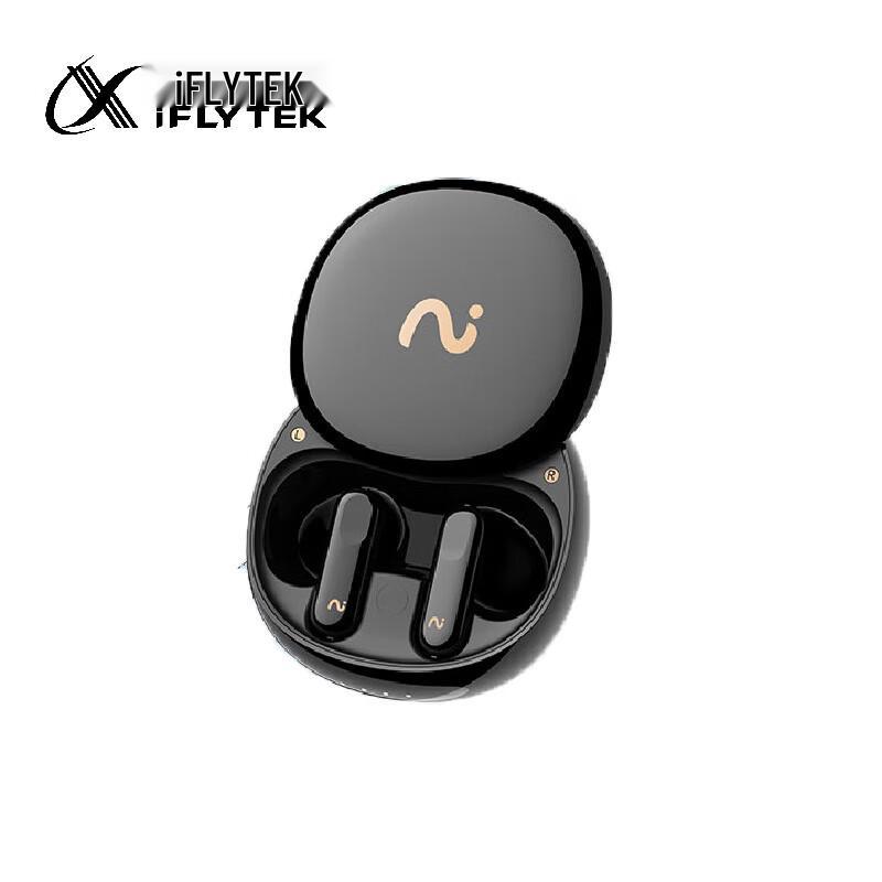 

iFLYTEK iFLYBUDS 2 AI Conference Wireless Bluetooth Earbuds
