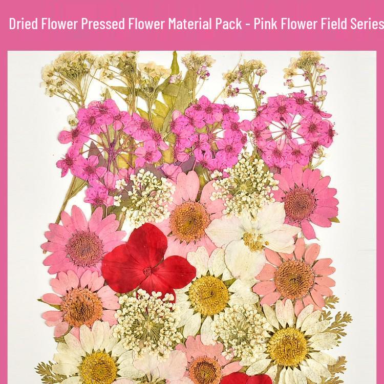 Autumn Dried Flower Bookmark Kit: Transparent Leaf Specimen with Lamination Film Stickers