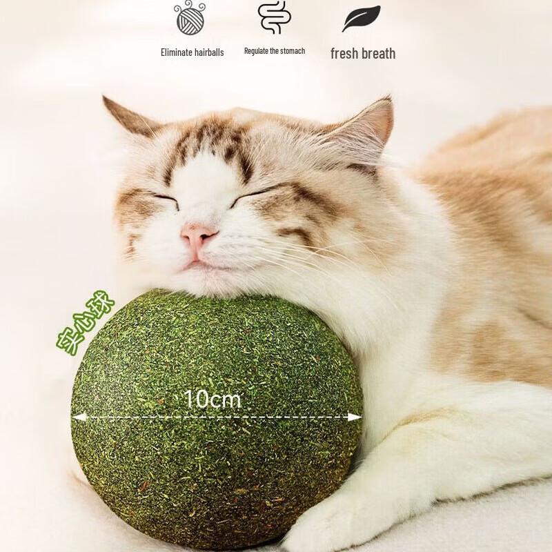 Catnip Ball Teething Cat Toy Set
