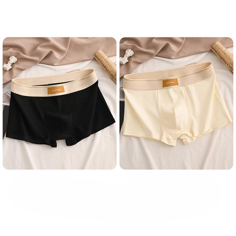 Luxury Men Underpants Man Cotton Breathable Comfortable Boxer Selling Shorts Men's Panties Plus Size Panties Underwear Gift