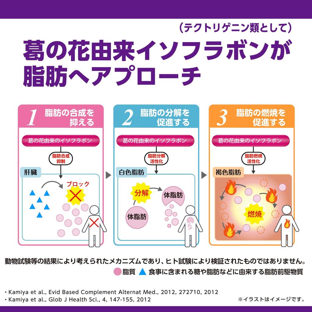 NIHON YAKKEN Kudzu Flower Tea Plus (Tea Bags 1.7g x 50 Bags) Functional Food with Green Tea, Refreshing Drink (Contains Kudzu Flower-Derived