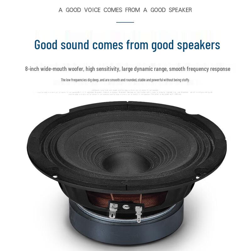 KAXISAIER S26 Professional Dual 6.5-inch Passive Speaker CN plug (adapter included)