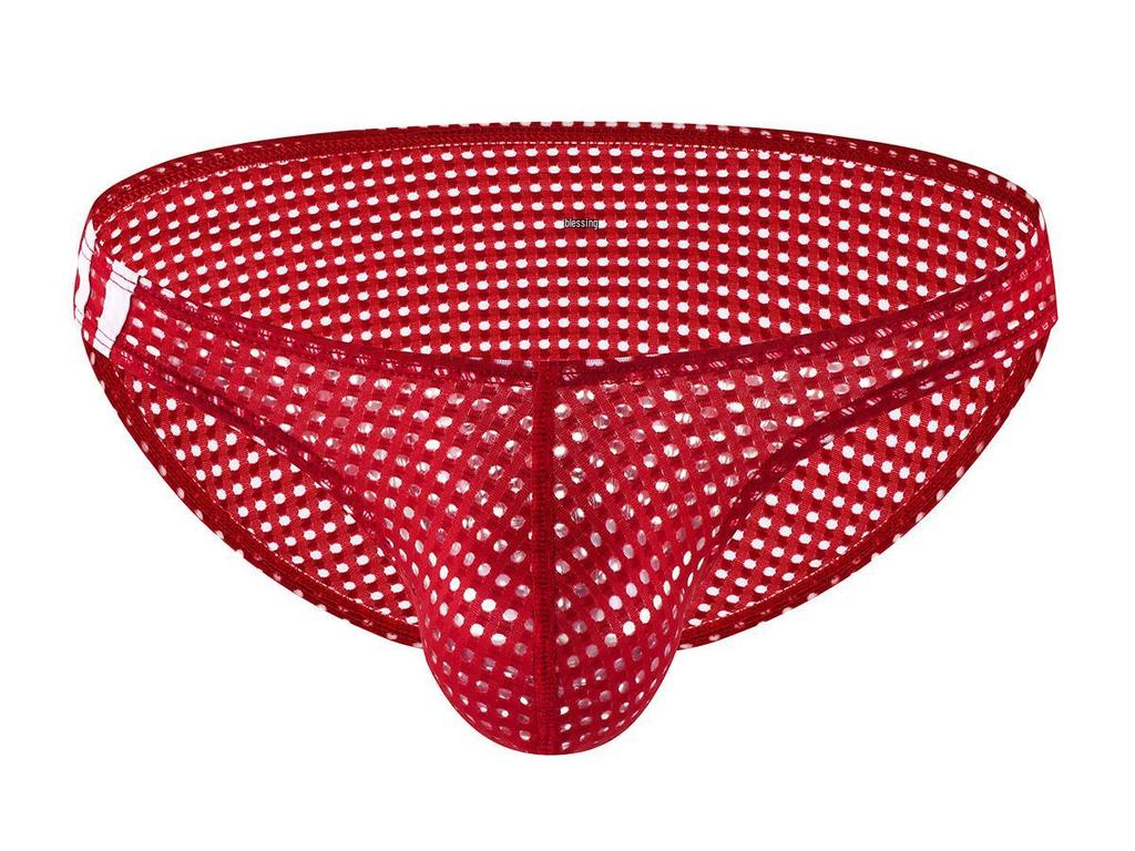 Men's Mesh Net Yarn Sexy Low-Rise Triangle Briefs - Japanese & Korean Style E-096