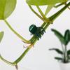 100PCS Plastic Plant Support Clips Orchid Stem Clip for Vine Support Vegetables Flower Tied Bundle Branch Clamping Garden Tool