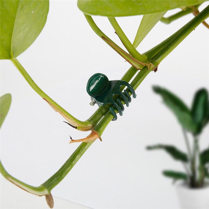 100PCS Plastic Plant Support Clips Orchid Stem Clip for Vine Support Vegetables Flower Tied Bundle Branch Clamping Garden Tool