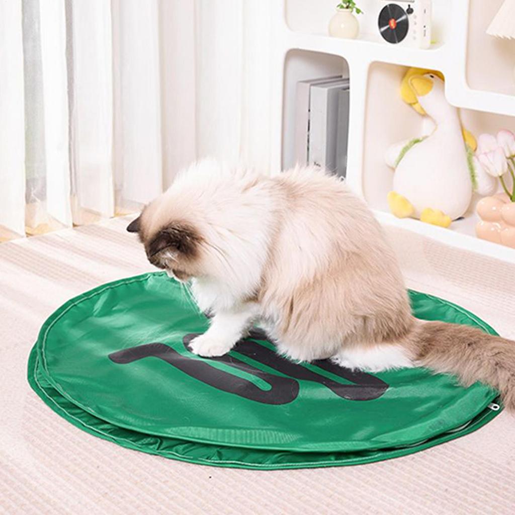 Cat Toys Interactive Automatic Rolling Ball In Cover 2 In 1 Catching Game For Hunting Exercise Indoor Enrichment Chasing