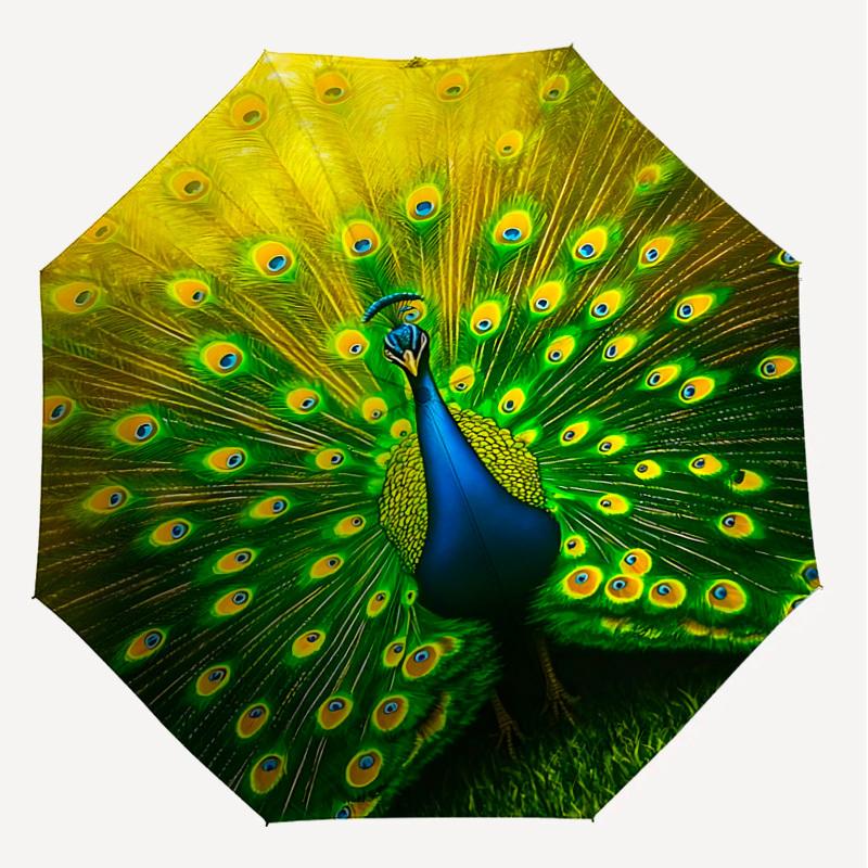 1pc Peacock Feathers Automatic Open/Close Umbrella with Windproof, 8-Rib Sturdy Canopy, Durable Ribs, Fashionable Design1151A