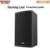 KaYouLa Professional Full-Range Conference Speaker (CN Version)