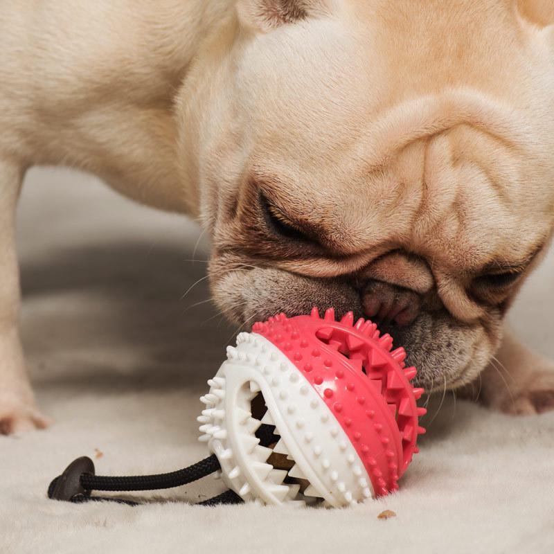 Manufacturer Squeaky Rubber Round Dog Feeder Ball Toy with Rope