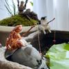 Decor Handicraft Craft Kitten Fishing Ornament Cat Statue Fish Tank Ornaments Miniature Figurines