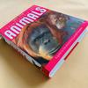 Genuine book Miles Kelly English Children's Encyclopedia Teenagers' Popular Science Knowledge Reading