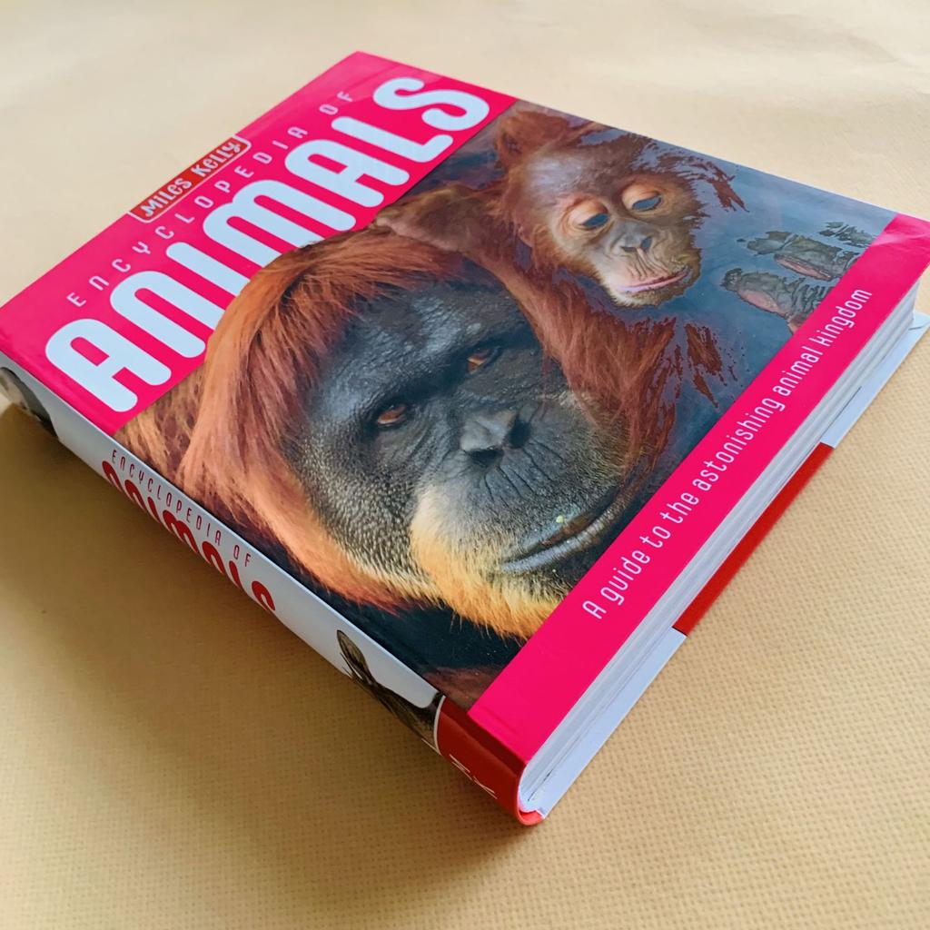 Genuine book Miles Kelly English Children's Encyclopedia Teenagers' Popular Science Knowledge Reading