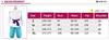 RICHAIR Anime Cosplay Haku Costume, 4-Piece Set, Chihiro, Halloween, Christmas, School Festival, Unisex Size (L)